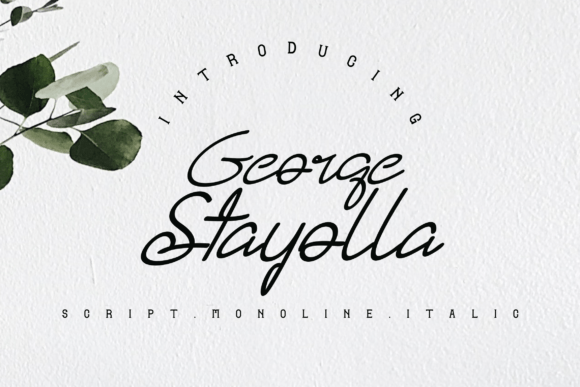 George Stayolla Font: The Modern Script for Bold Branding